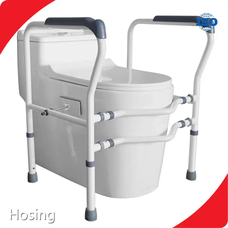 Raised Toilet Seat with Handrails - - Hosing 1