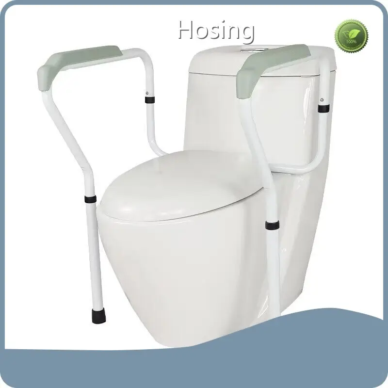 Toilet Safety Rails - - Hosing 1
