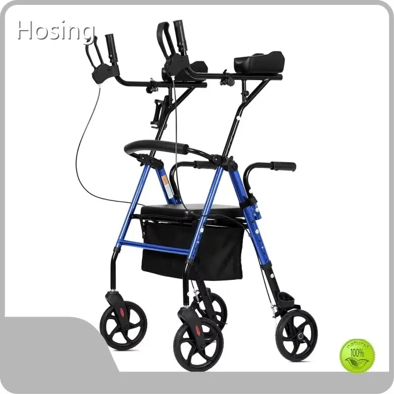 Mobility Walking Aids by Hosing 1