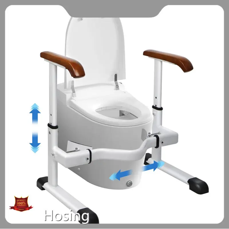 Bathroom Toilet Rails - - Hosing 1