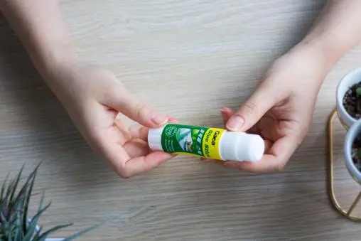 Gaea Stationery Glue According to Customer′s Requirementsfactory Direct Supply 2