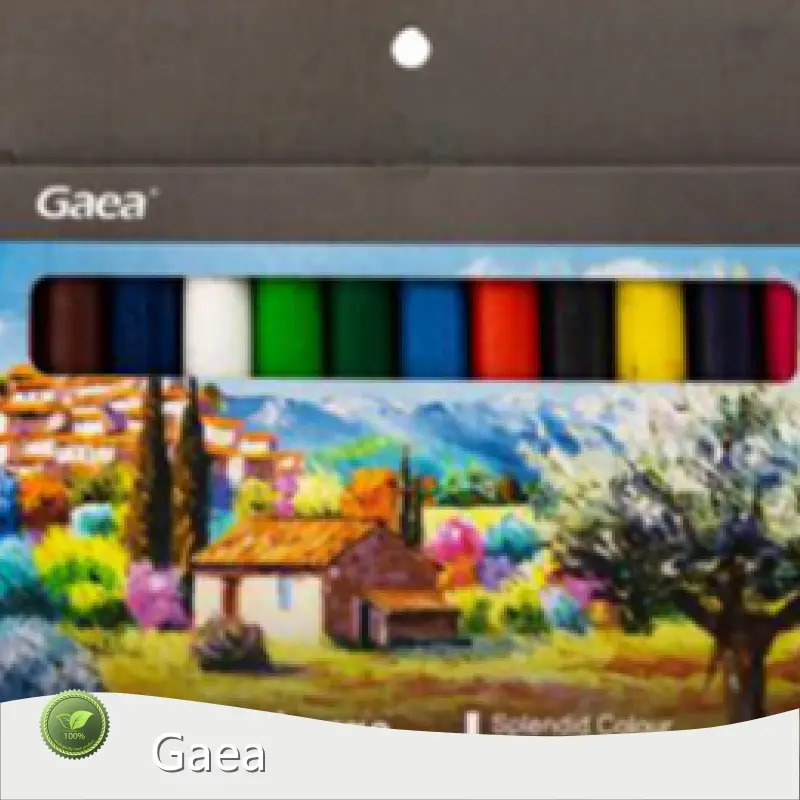 Gaea Professional Painting Set GP1-010 Professional Painting Setfactory 1