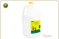 Lightweighteco Super Glue for Home 20000 Stationary Glue 1