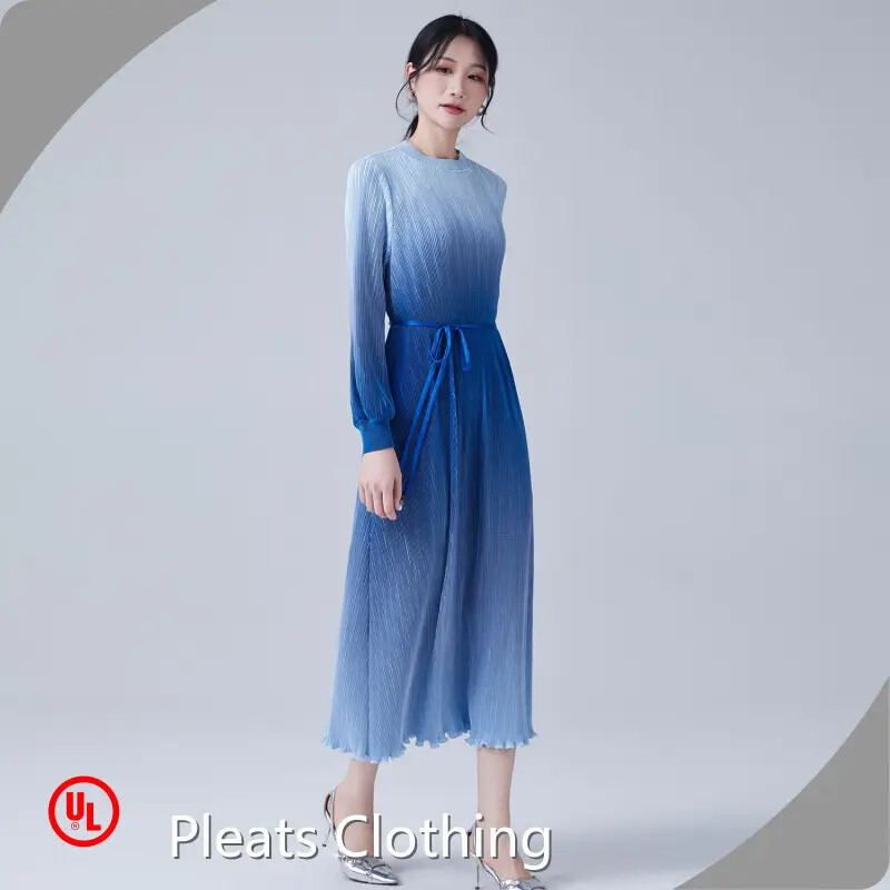 Net Pleated Gown 3-7working Days - - Pleats Clothing 1