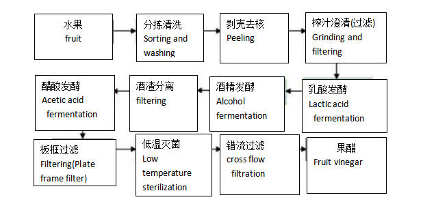 Fruit Vinegar Production Line | Wenzhou Suote