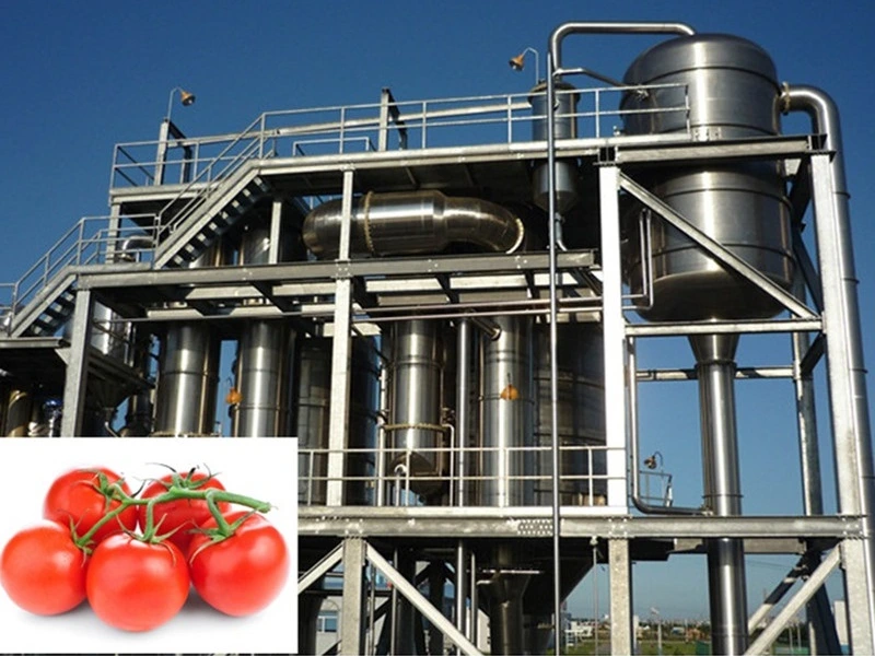 Línea de producción de mermelada, pasta de tomate pera 1