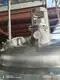 OEM Concentration Equipment 7