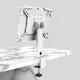 Peacemounts Ipad Pro Desktop Stand Ipad Pro Desktop StandSuppliers 10