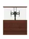 Swivel Tv Mount Manufacturer 4