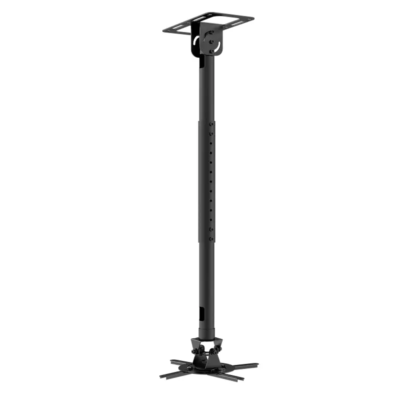 Company Supplier P20 7