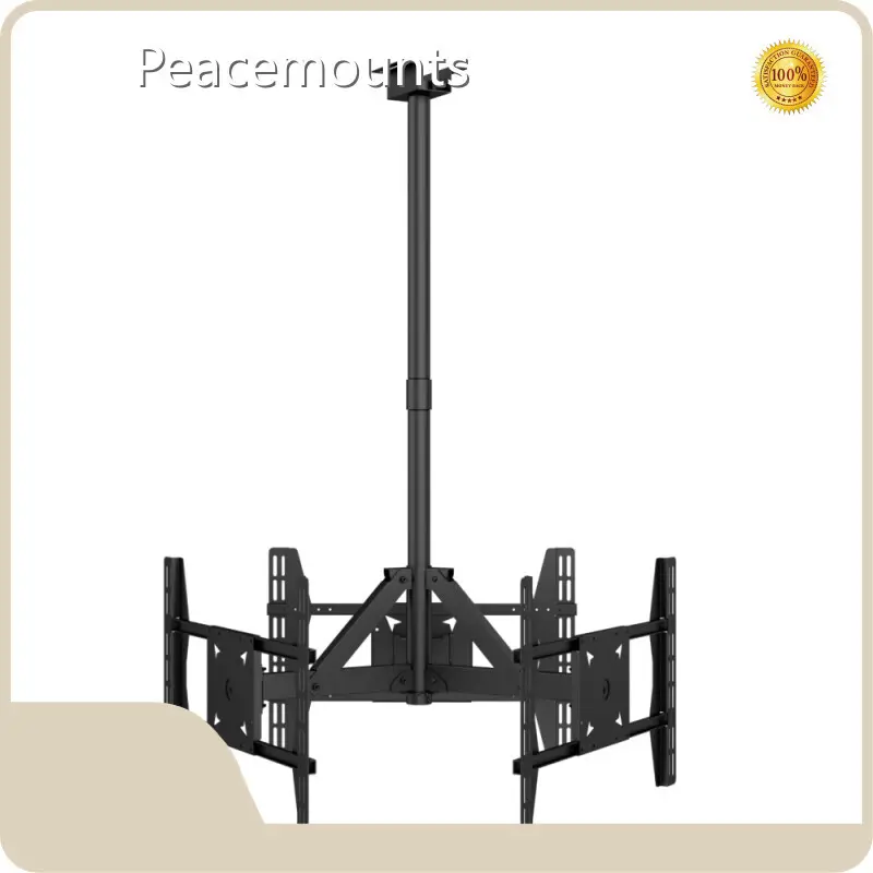 Peacemounts Tv Floor Stand Tv Floor StandCompany 1