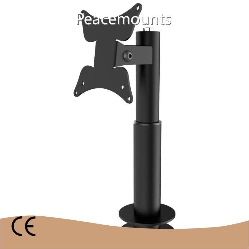 Ipad Floor Stand LDM-100 by Peacemounts 1