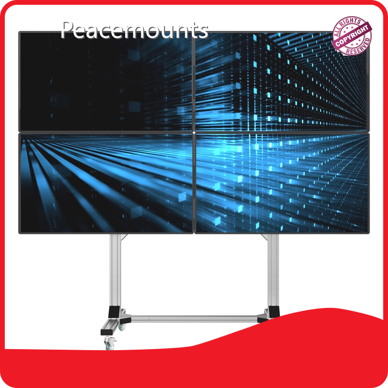Peacemounts 65 Inch Tv Floor Stand ML-02Suppliers 1