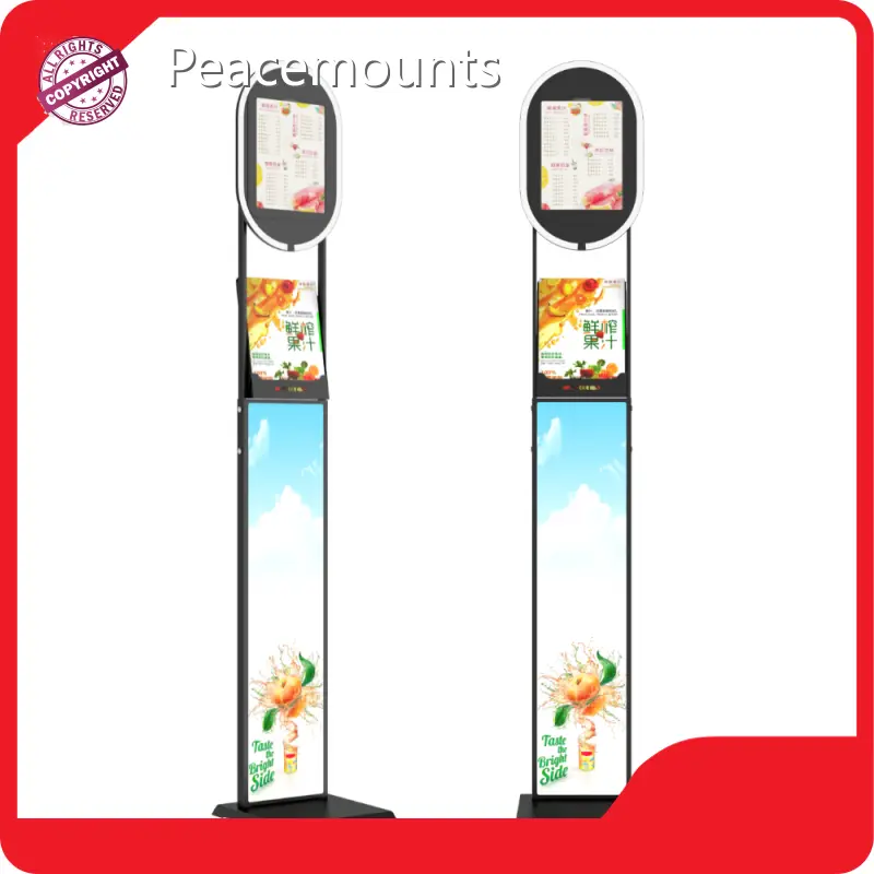 Peacemounts Ipad Mini Floor Stand Supply 1