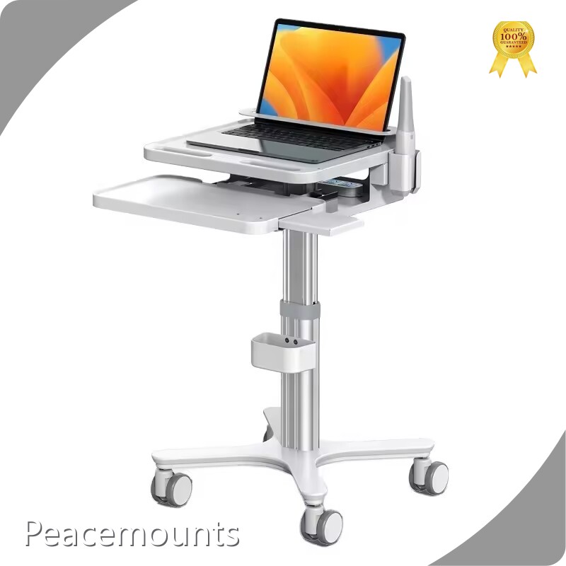 Company - - Peacemounts 1