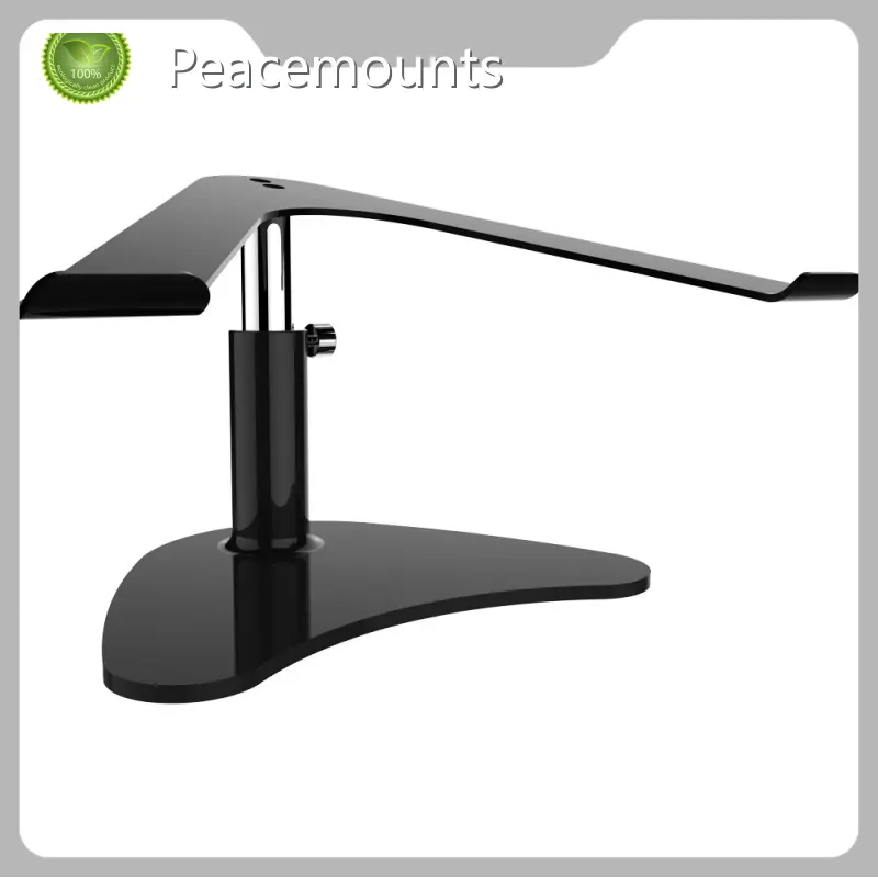 Ipad Kiosk Stand PCTS-1 by Peacemounts 1