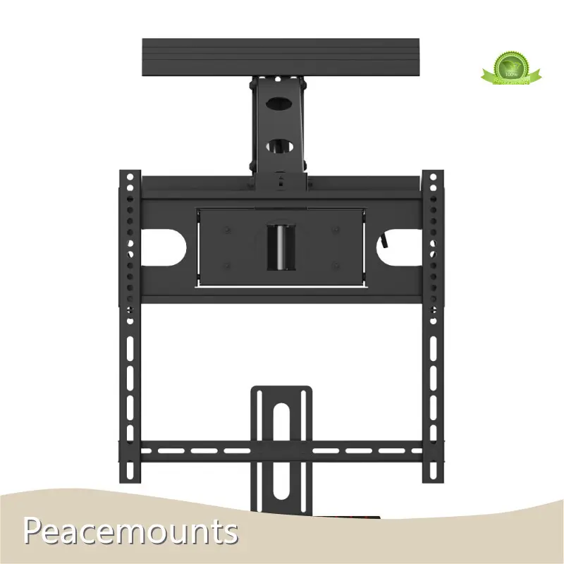 Custom Tv Wall Mount Suppliers 1