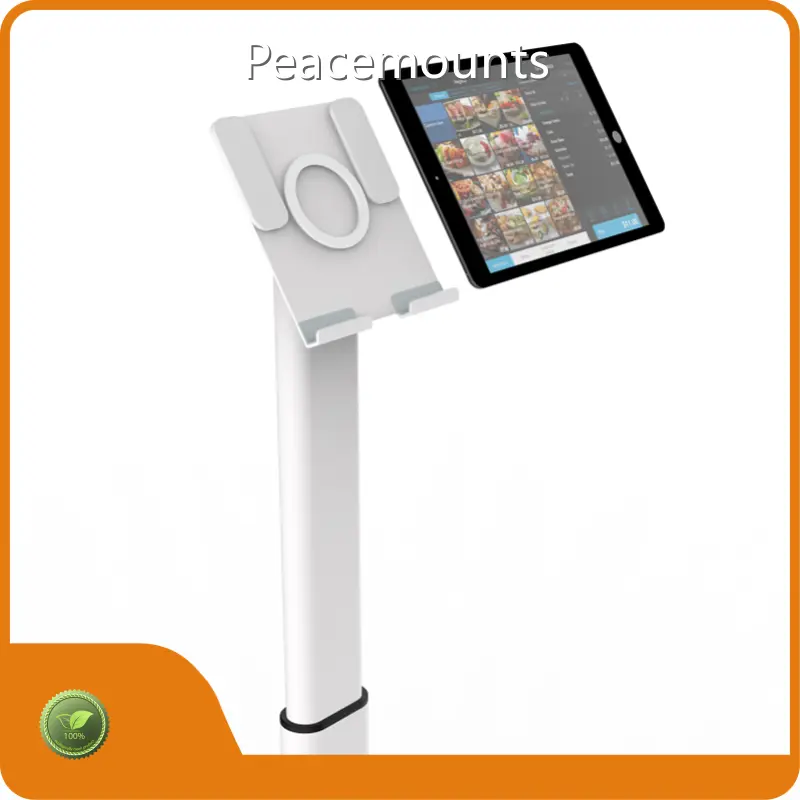 Ipad Kiosk Mount Manufacturer 1