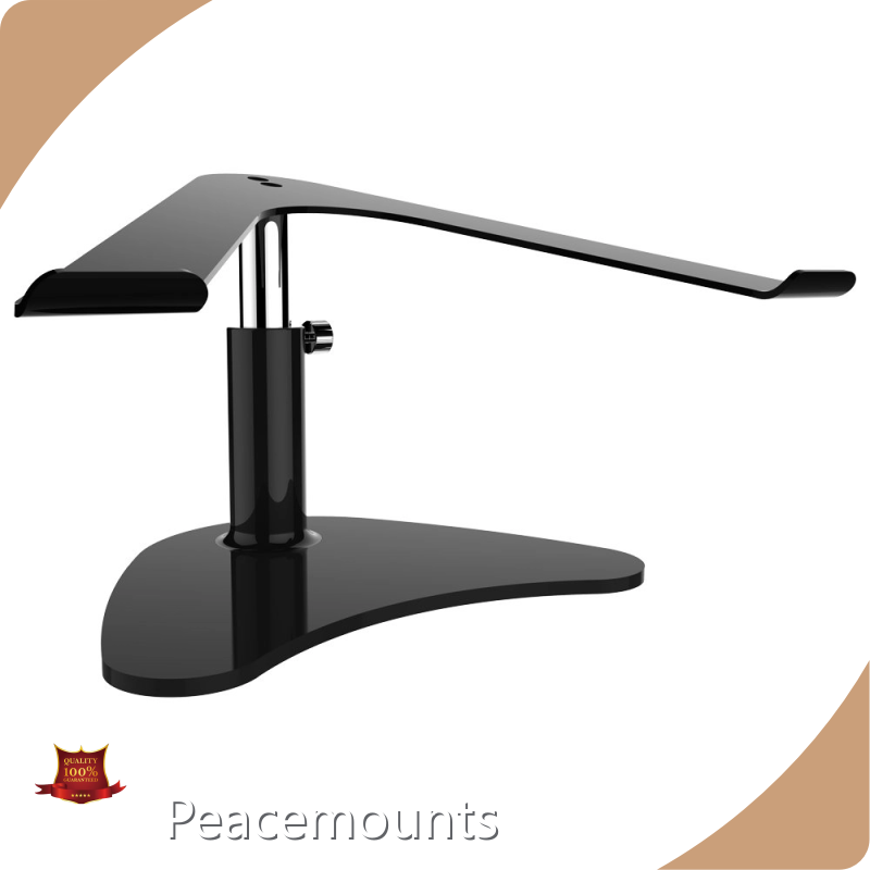 Ipad Floor Stand Kiosk PCTS-1Supply 1