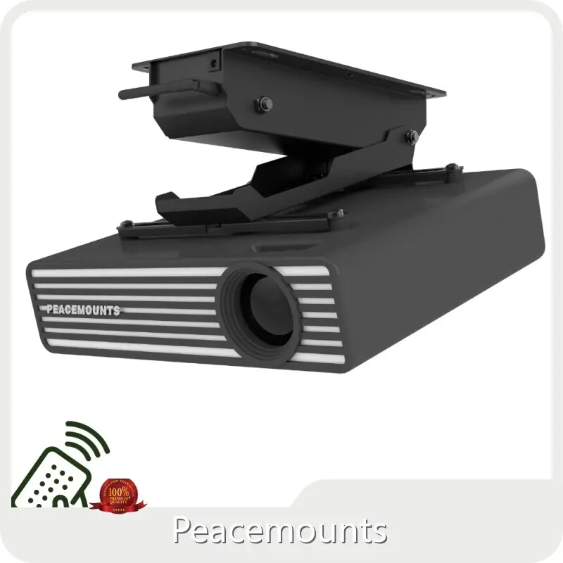 Peacemounts POS Tablet Stand Manufacturer 1