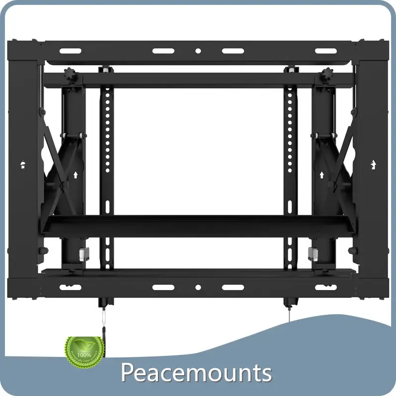 Tv Stand with Mount Supplier 1