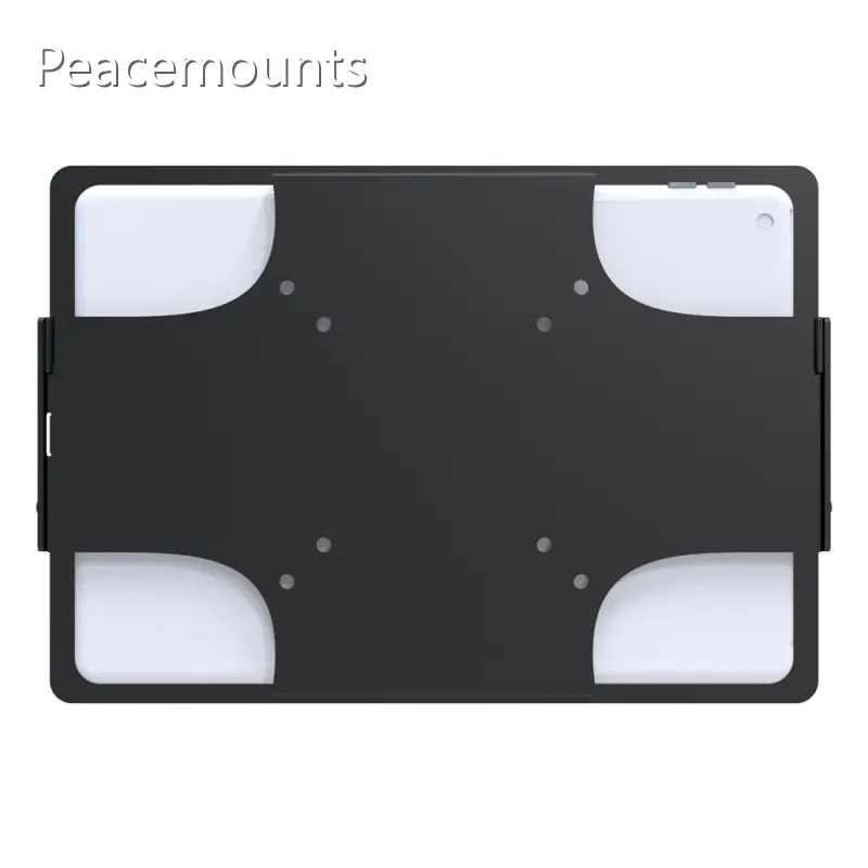 Peacemounts Company USE-1 CompanyCompany 1