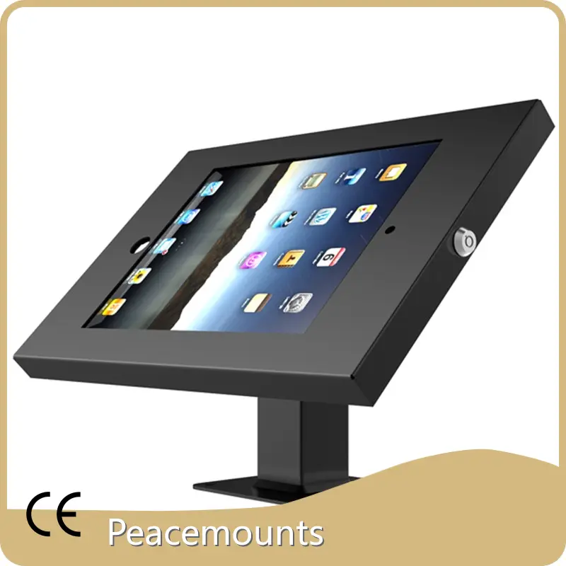 Company IPE-10 - - Peacemounts 1