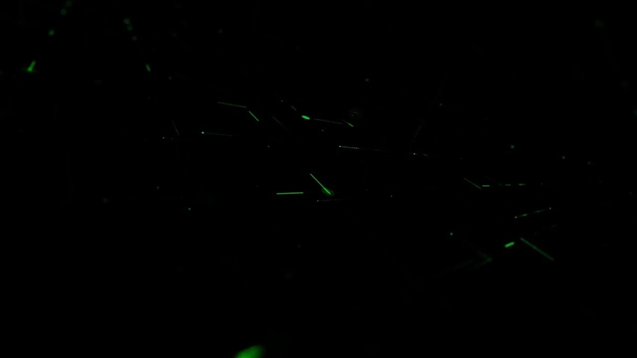 Encoladora de cantos automática de alta velocidad HD621J 1