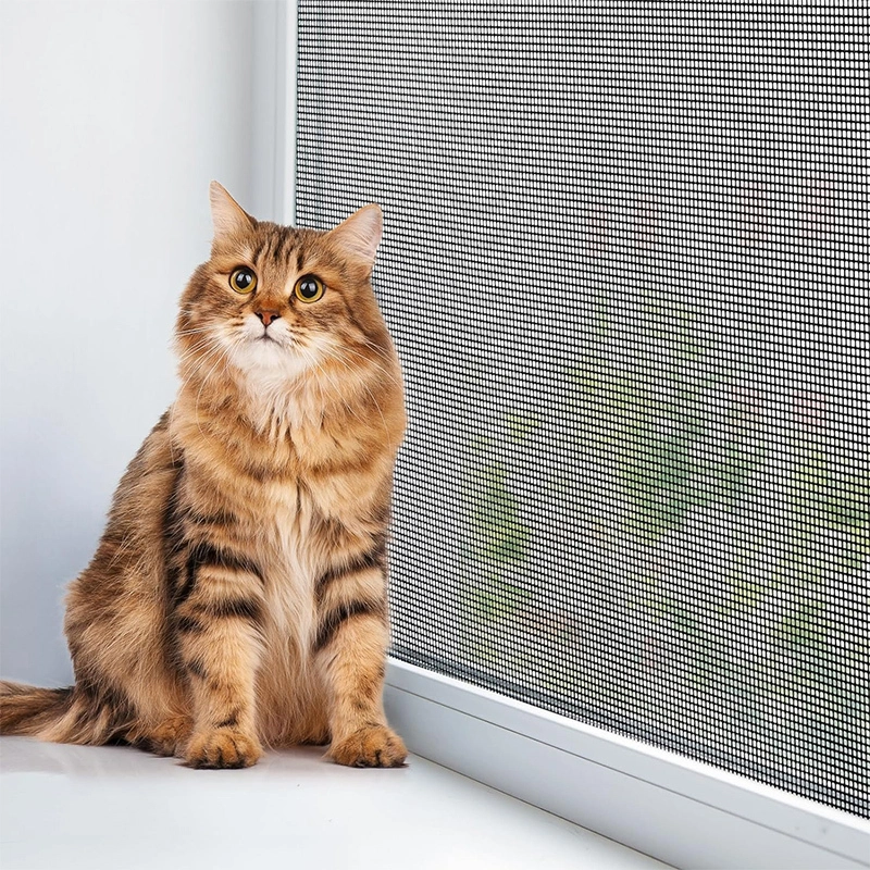 Fiberglass window screen mesh for patio porch door windows diy adjustable fiberglass window screen 1