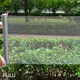 Aluminum Window Screen Manufacturer Aluminum Mesh - - PULU 1