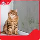18*16 Fiberglass Window Screen PULU Wholesale - PULU 1