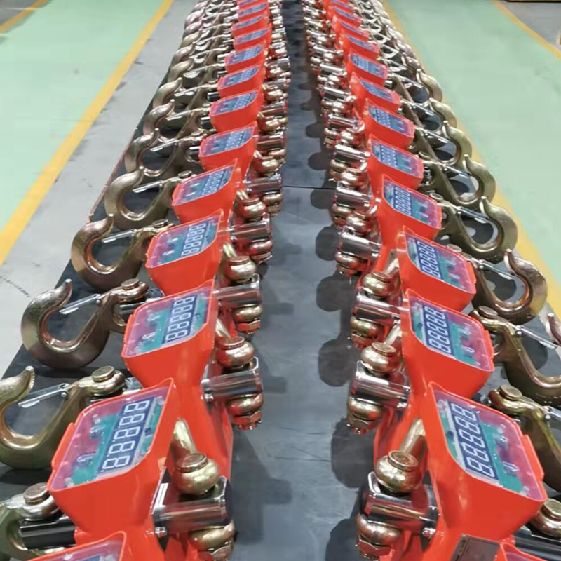 Crane Scale OCS-D4 - High Accuracy Hanging Weighing Solution 5