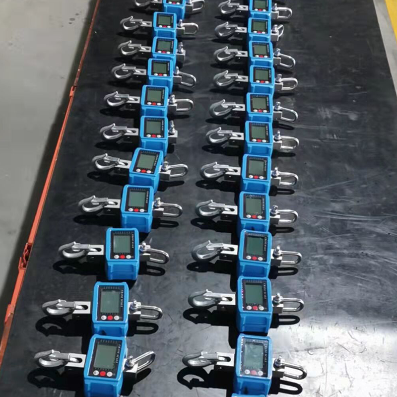 Crane Scale OCS-D4 - High Accuracy Hanging Weighing Solution 4