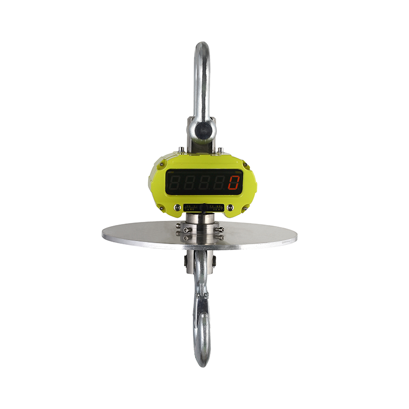 Crane Scale OCS-H1-RT for Accurate Weight Measurement 2