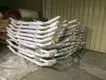 Everluck Freightliner Deer Bumper Guangzhou Or Shenzhensuppliers 4