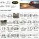 트럭용 고품질 픽업 그릴 가드 Avilable ELC-015 4