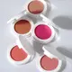 Blush Manufacturer Mineral Availablewholesale 5