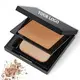 Custom Compact Powder Supplier 2