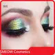 Quality High Pigmented Eyeshadow Supply 1