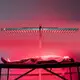 Top Red Light Therapy Body Panel Red Light Therapy Body Panel Company 8