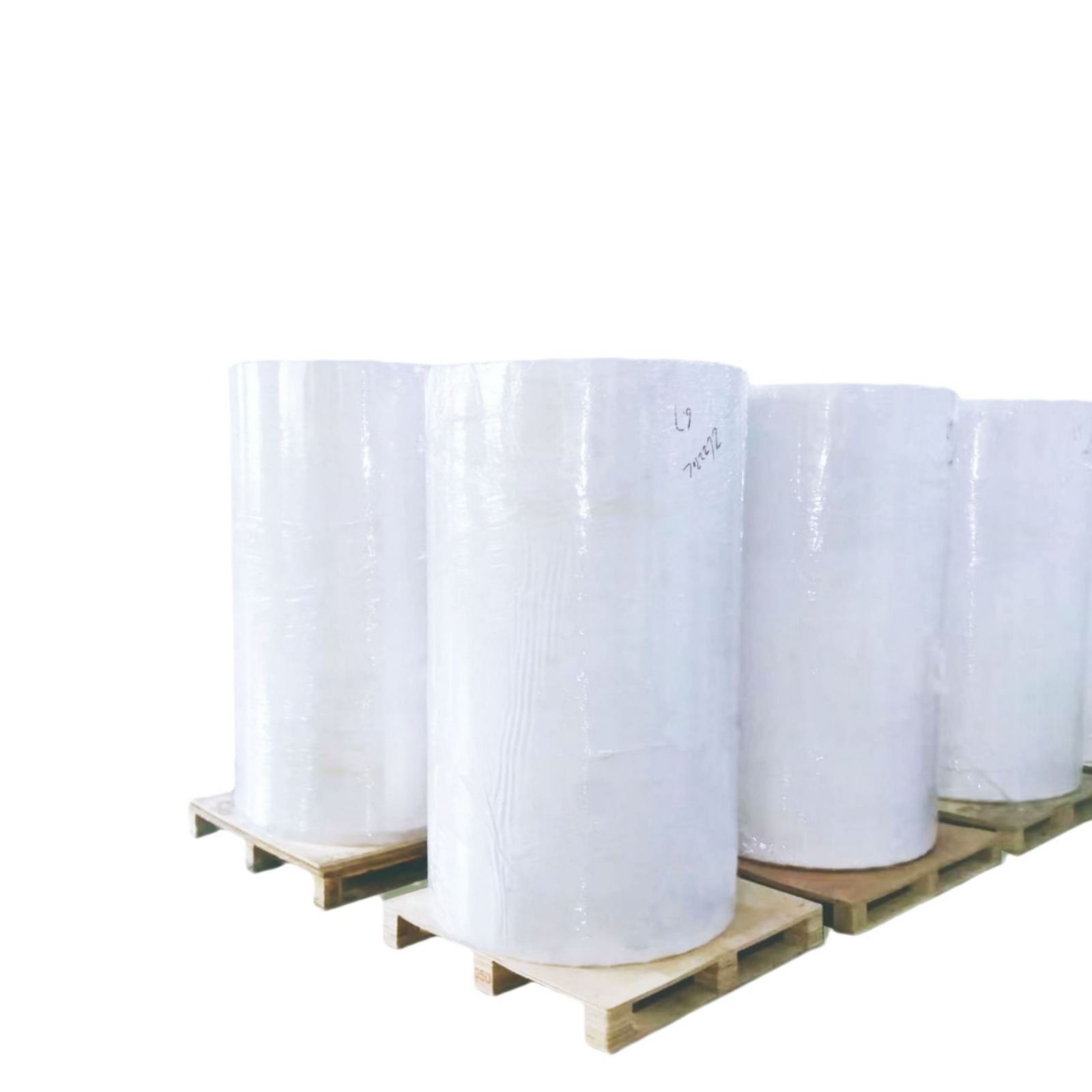 Coreless Thermal Paper for Catering Industry at Super Low Price 5