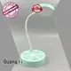 Cute Orange desk lamp with 3 brightness level adjustable table lamp gift for kids with USB ports rechargeable 5V 1