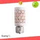 Plug-in Crystal Himalayan Salt Night Light With Ceramic Cover and Exquisite Carving Pattern 1