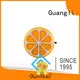 Guangli plug in night light16 1