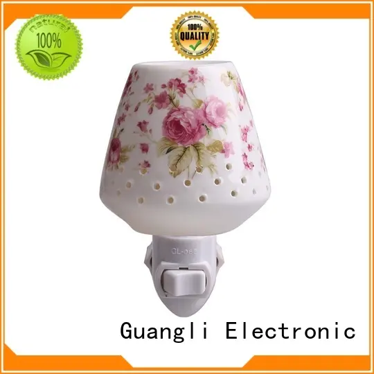 exquisite decorative plug in night lights wholesale for living room 1