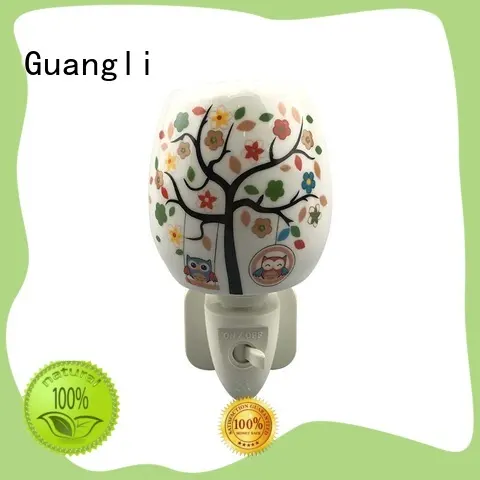 Guangli exquisite decorative plug in night lights with good price for living room 1