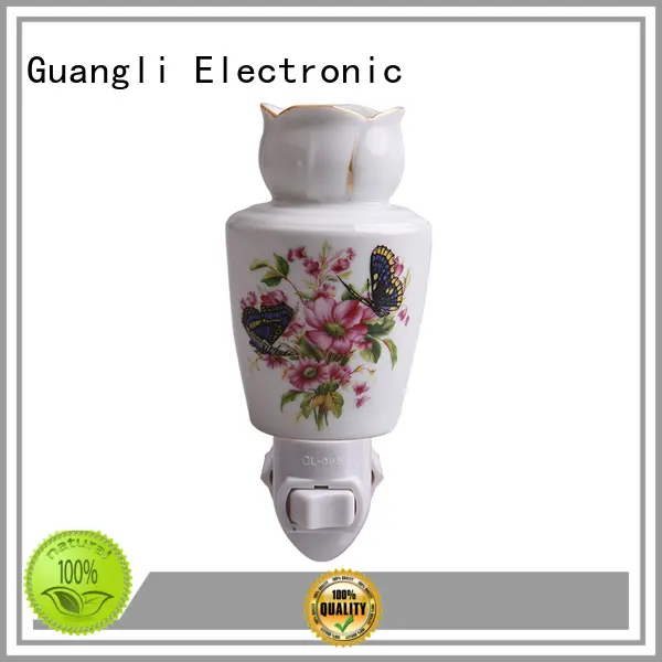 Guangli Top decorative plug in night lights Supply for bedroom 1