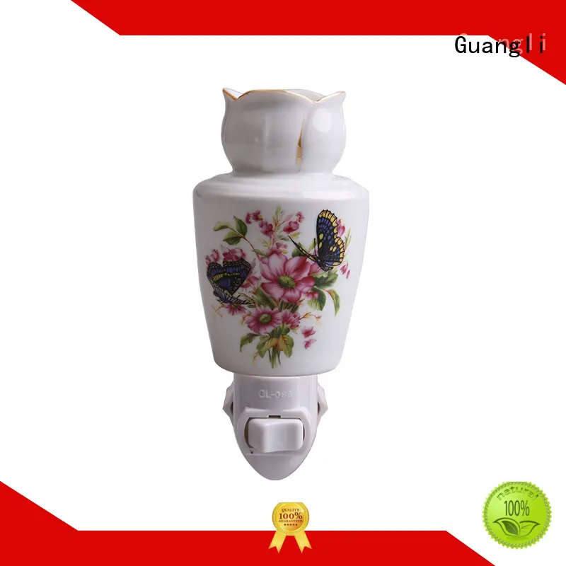 plug in night light Guangli111 1