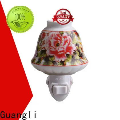 Top decorative plug in night lights remote for sale for living room 1