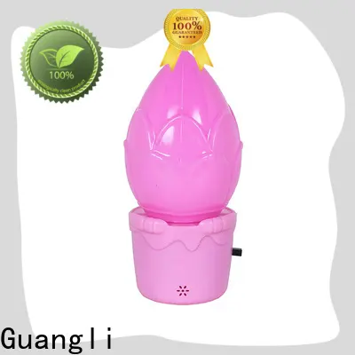 Guangli plug in night light201 1